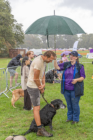 Scruffts Family Crossbreed of the Year competition. Knebworth Park. 13th September 2026-160