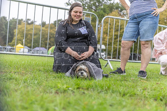 Scruffts Family Crossbreed of the Year competition. Knebworth Park. 13th September 2026-162