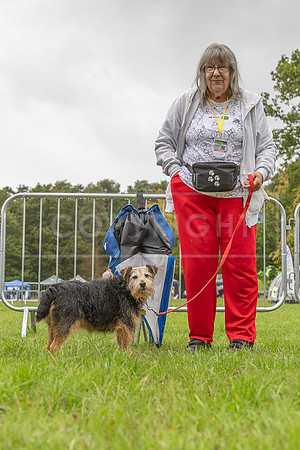 Scruffts Family Crossbreed of the Year competition. Knebworth Park. 13th September 2026-165