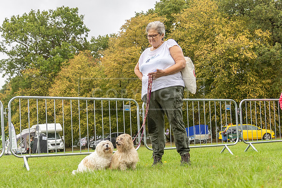 Scruffts Family Crossbreed of the Year competition. Knebworth Park. 13th September 2026-166