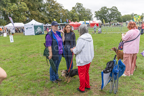 Scruffts Family Crossbreed of the Year competition. Knebworth Park. 13th September 2026-167