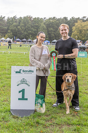 Scruffts Family Crossbreed of the Year competition. Knebworth Park. 13th September 2026-173