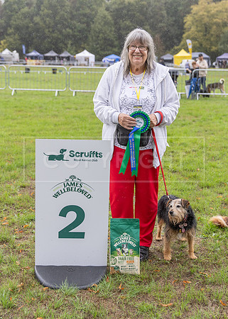 Scruffts Family Crossbreed of the Year competition. Knebworth Park. 13th September 2026-174