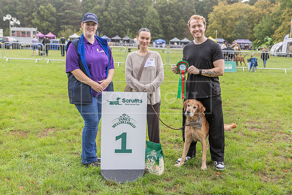 Scruffts Family Crossbreed of the Year competition. Knebworth Park. 13th September 2026-172