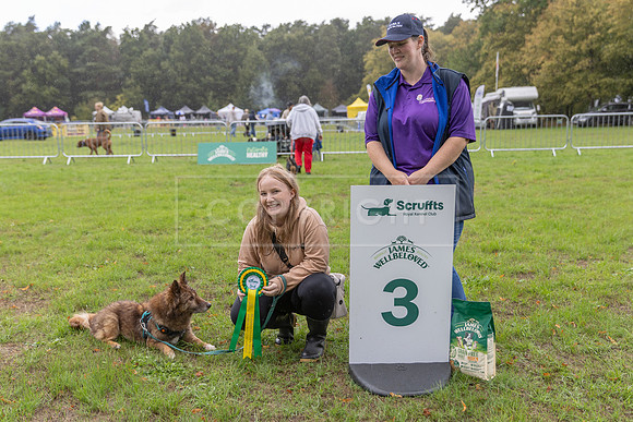 Scruffts Family Crossbreed of the Year competition. Knebworth Park. 13th September 2026-176