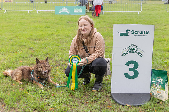 Scruffts Family Crossbreed of the Year competition. Knebworth Park. 13th September 2026-177