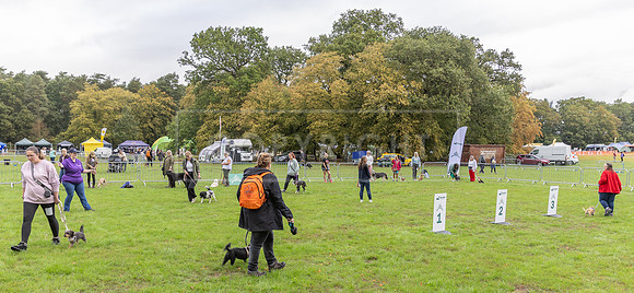 Scruffts Family Crossbreed of the Year competition. Knebworth Park. 13th September 2026-181