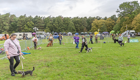 Scruffts Family Crossbreed of the Year competition. Knebworth Park. 13th September 2026-182