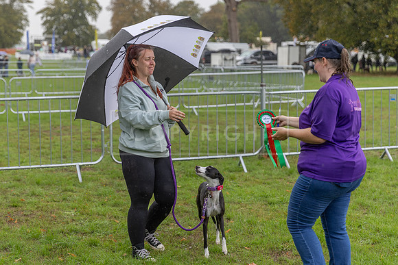 Scruffts Family Crossbreed of the Year competition. Knebworth Park. 13th September 2026-185