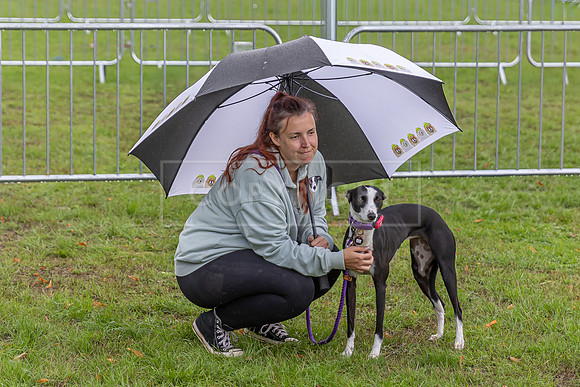 Scruffts Family Crossbreed of the Year competition. Knebworth Park. 13th September 2026-184