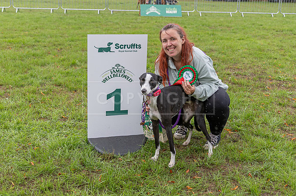 Scruffts Family Crossbreed of the Year competition. Knebworth Park. 13th September 2026-188