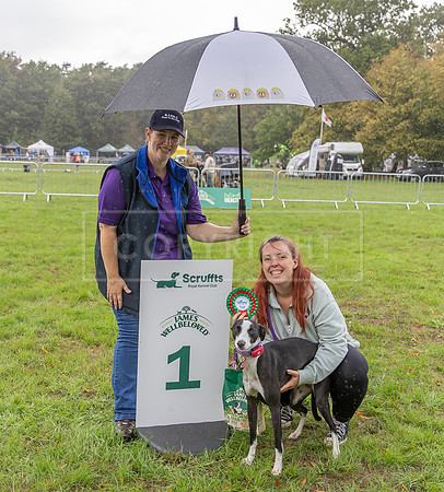 Scruffts Family Crossbreed of the Year competition. Knebworth Park. 13th September 2026-187