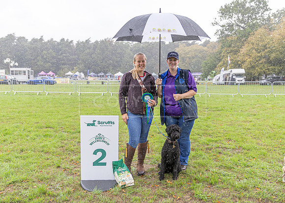 Scruffts Family Crossbreed of the Year competition. Knebworth Park. 13th September 2026-190