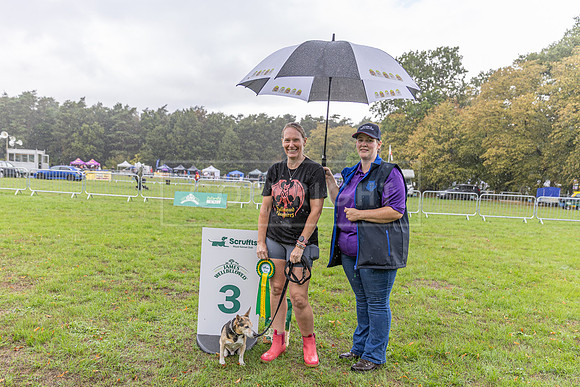 Scruffts Family Crossbreed of the Year competition. Knebworth Park. 13th September 2026-193