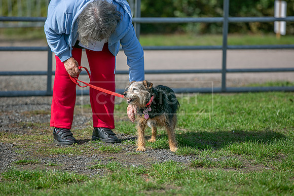 Scruffts Detling Heat 20th Sept 2026-118