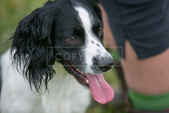 Capesthorne Hall Saturday 17th June 2023-007