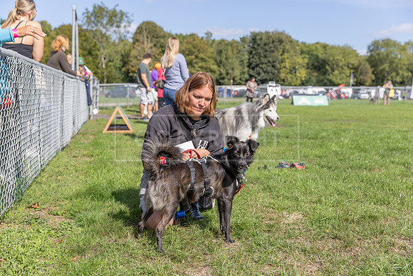 Scruffts Detling Heat 20th Sept 2026-019