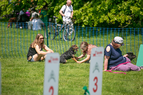 Scruffts at Trentham Park 21st May 2023-40