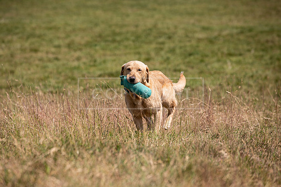 Capesthorne Hall Friday 16th June 2023-091