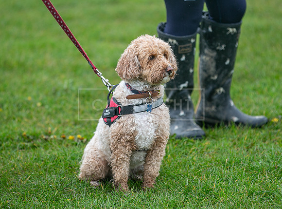 Scruffts  Newark 23 Apr 23-45