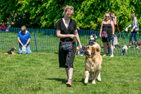 Scruffts @ Trentham Park 21st May 2023-76