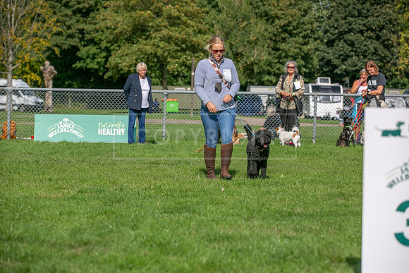 Scruffts Detling Heat 20th Sept 2026-142