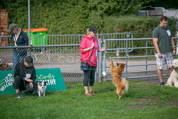 Scruffts Detling Heat 20th Sept 2026-005