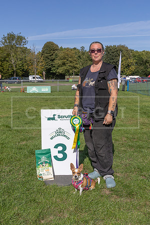 Scruffts Detling Heat 20th Sept 2026-156