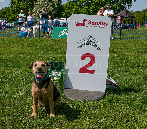 Scruffts at Trentham Park 21st May 2023-20