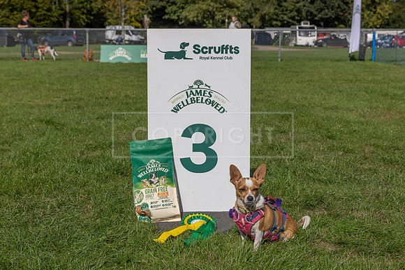 Scruffts Detling Heat 20th Sept 2026-157