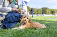 Scruffts Detling Heat 20th Sept 2026-013