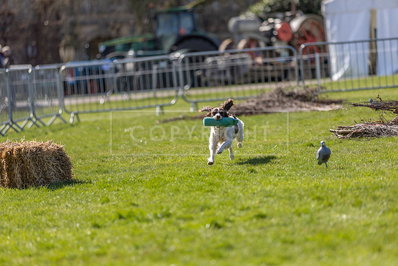 Thoresby Sun 30th Mar 25-258