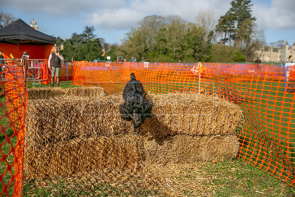 Thoresby Sun 30th Mar 25-006
