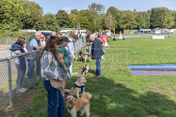 Scruffts Detling Heat 20th Sept 2026-012