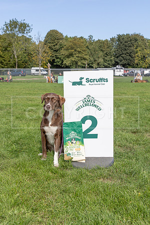 Scruffts Detling Heat 20th Sept 2026-098