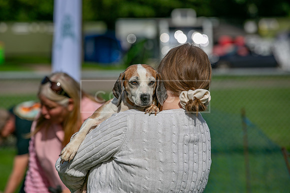 Scruffts Detling Heat 20th Sept 2026-122
