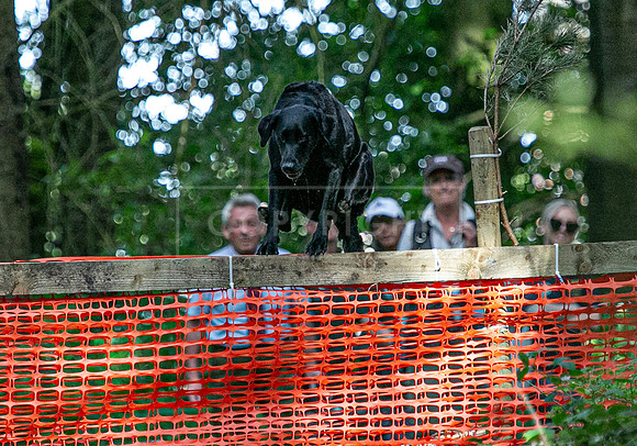 Int Retriever Day 2-06