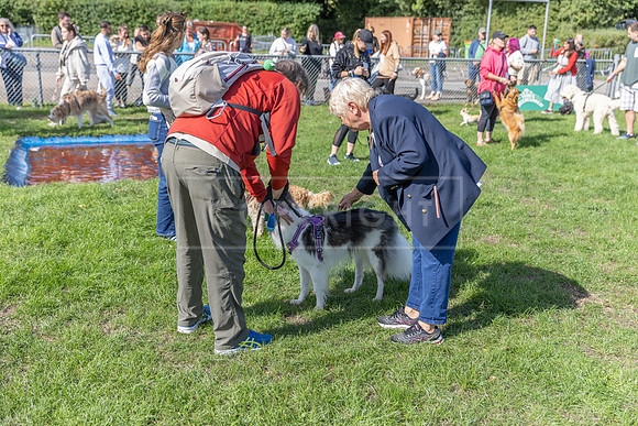 Scruffts Detling Heat 20th Sept 2026-036