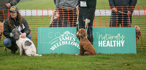 Scruffts  Newark 23 Apr 23-42