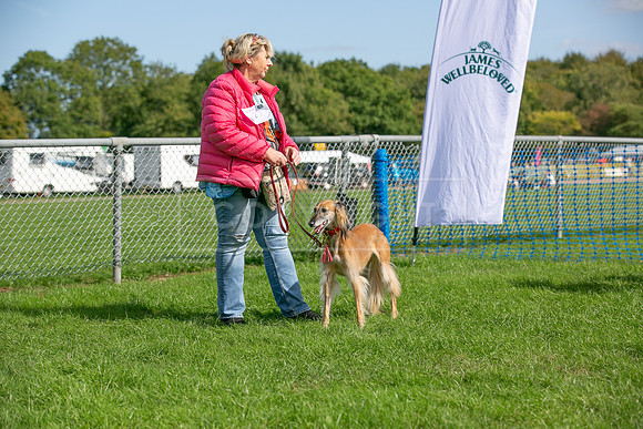 Scruffts Detling Heat 20th Sept 2026-081