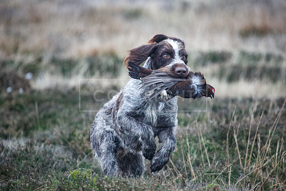 HPR Championships Nov 2021-234