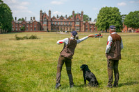 A Selection of images from  recent Kennel Club events