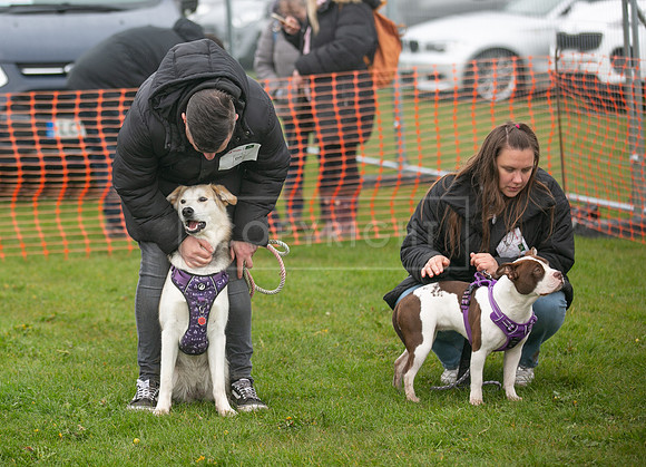 Scruffts  Newark 23 Apr 23-57