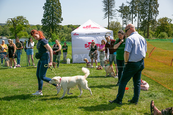Scruffts at Trentham Park 21st May 2023-37