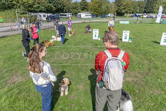 Scruffts Detling Heat 20th Sept 2026-037
