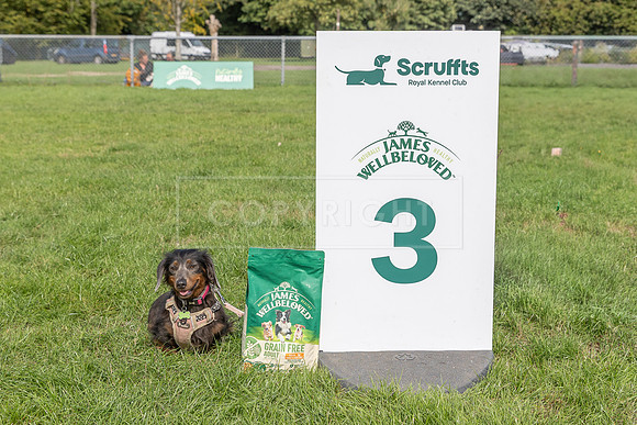 Scruffts Detling Heat 20th Sept 2026-101