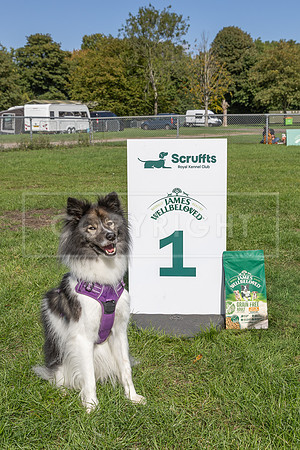 Scruffts Detling Heat 20th Sept 2026-050