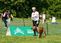 Scruffts at Trentham Park 21st May 2023-02