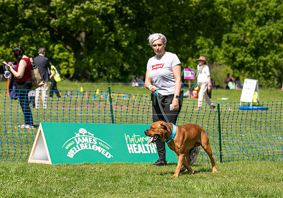 Scruffts at Trentham Park 21st May 2023-02