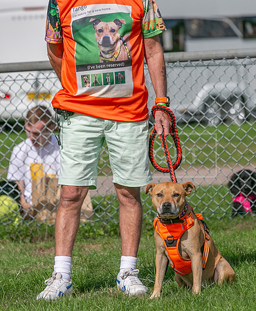 Scruffts Detling Heat 20th Sept 2026-113